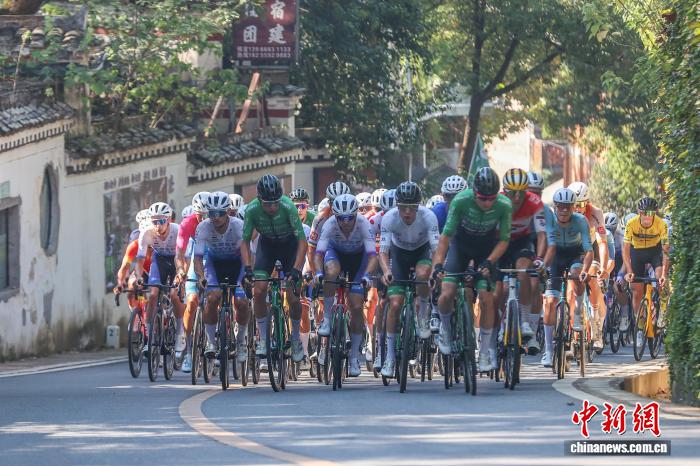 荷兰瓦尔肯堡公园酒店车